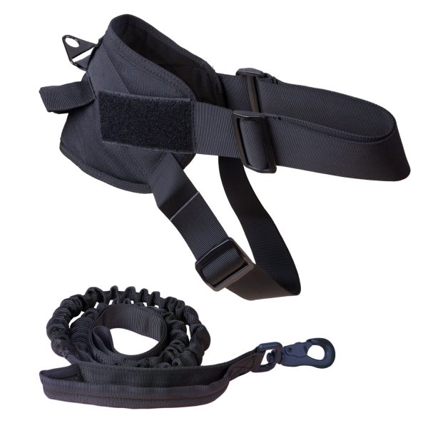 Adjustable Dog Vest & Leash - Black