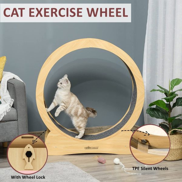 Cat Exercise Treadmill Spinner Wheel - Image 2