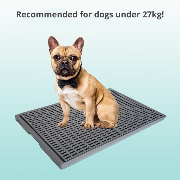 Indoor Pet Potty Training Tray - 70 x 50cm - Image 2