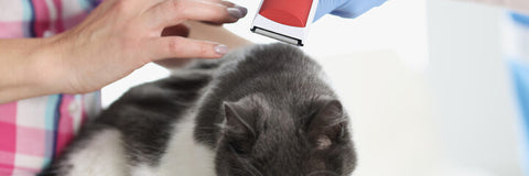 Shop Pet Hair Clippers online